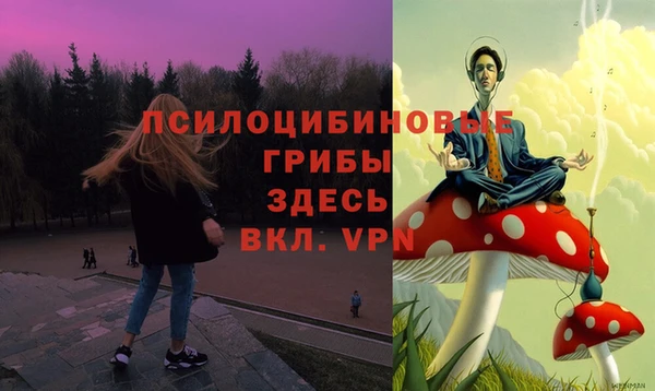 бошки Абинск